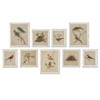 Cielo Bird and Nest Animals & Nature White Frame Illustration - Set of 9