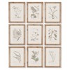 Ling French Country Brown Floral & Botanical Natural Frame Illustration