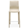 Jada Modern Classic Beige Leather Upholstered Iron Counter Stool