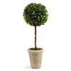 Marin French Country Green Boxwood Single Sphere Topiary - Large