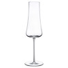 Stem Zero Modern Classic Clear Crystal Volcano Champagne Glass