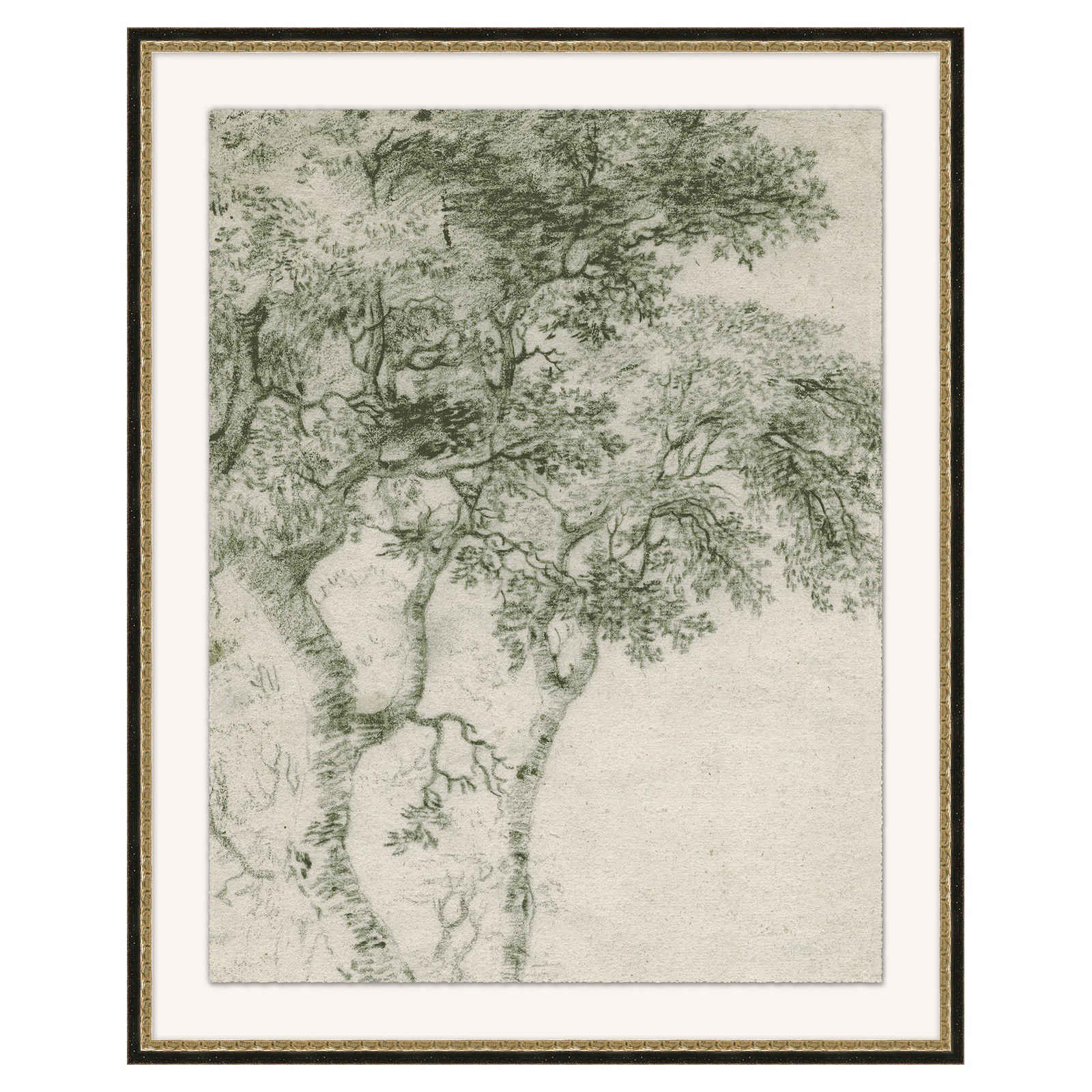 Tobin Updated Traditional White Green Tree Study Painting 1 - 30x23