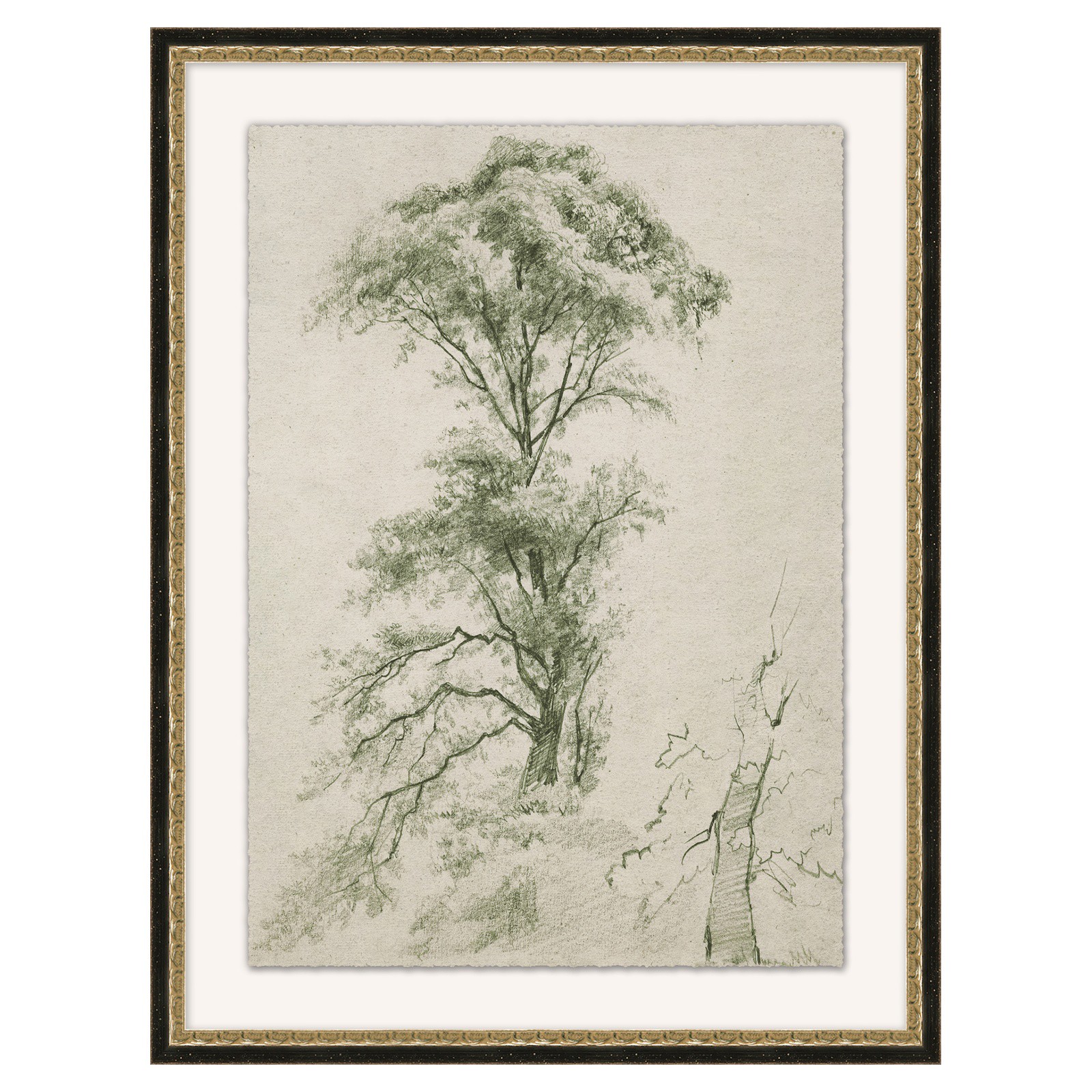 Tobin Updated Traditional White Green Tree Study Painting 2 - 30x23