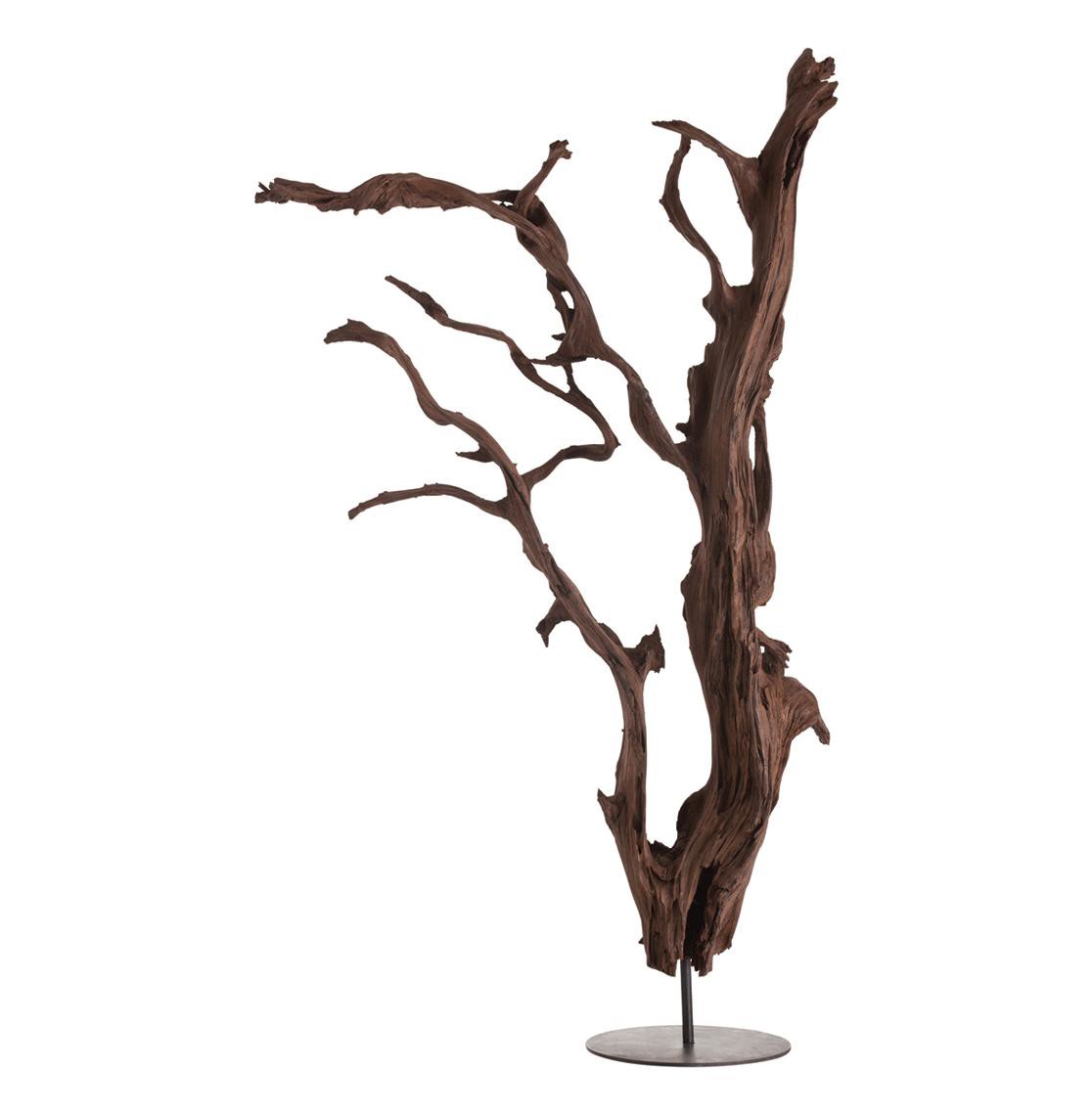 Kazu Root Mangrove Tree Iron Floor Sculpture