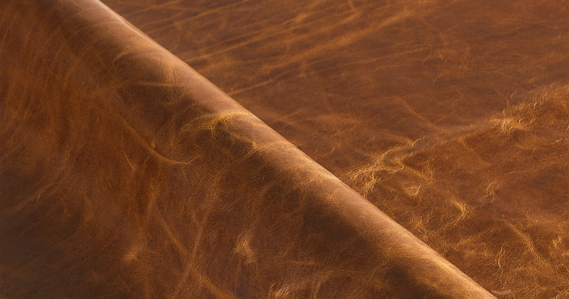 Russet Leather fabric swatch