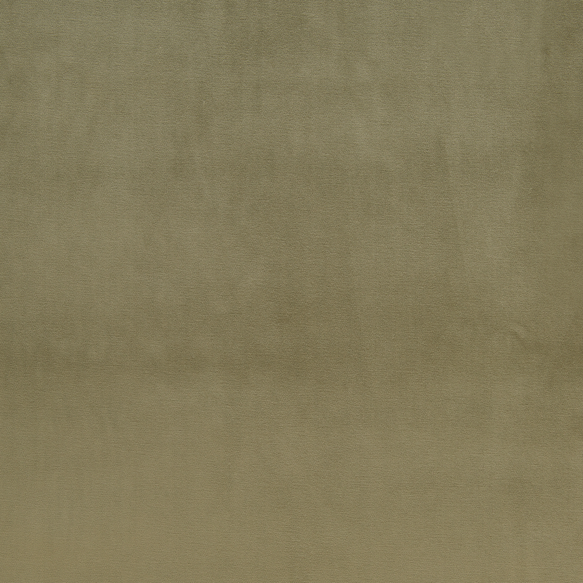 Eucalyptus Velvet fabric swatch