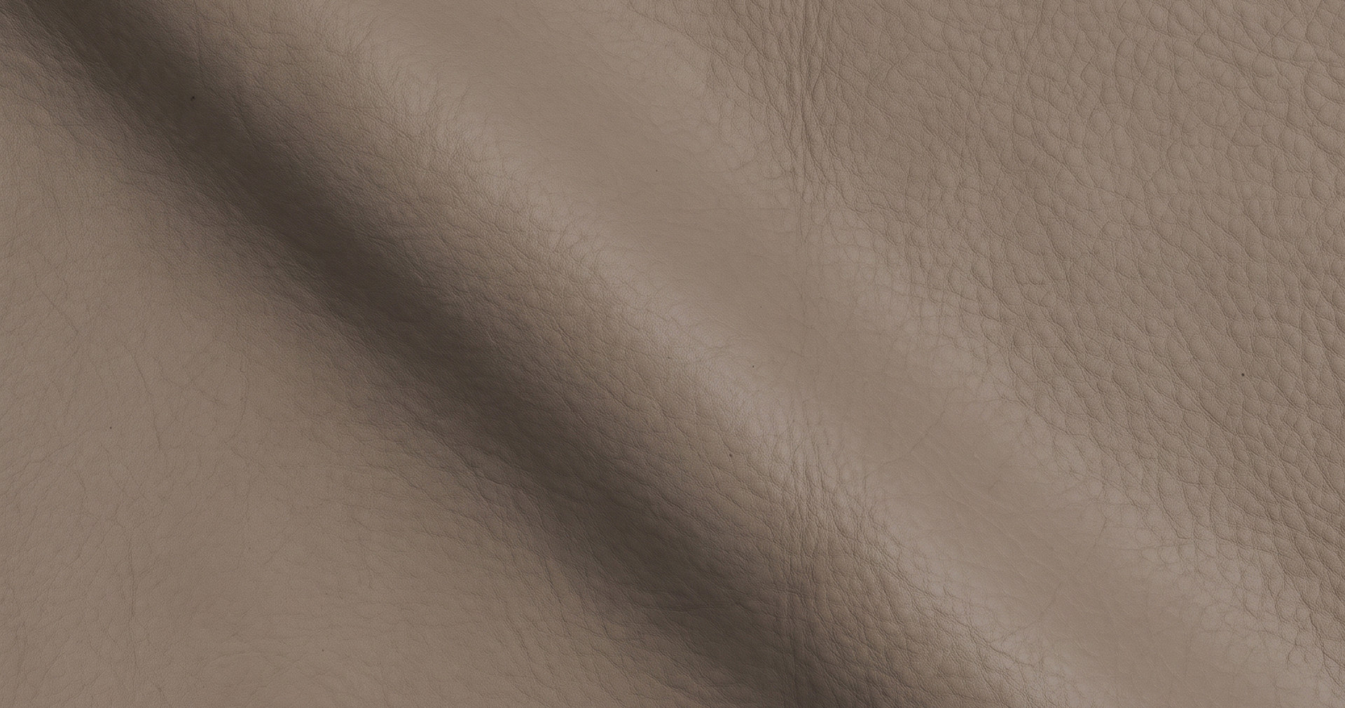 Putty Leather fabric swatch