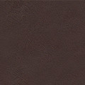 Chicory Leather fabric swatch
