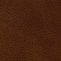 Walnut Leather fabric swatch