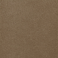 Mocha Mist