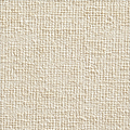 Parchment