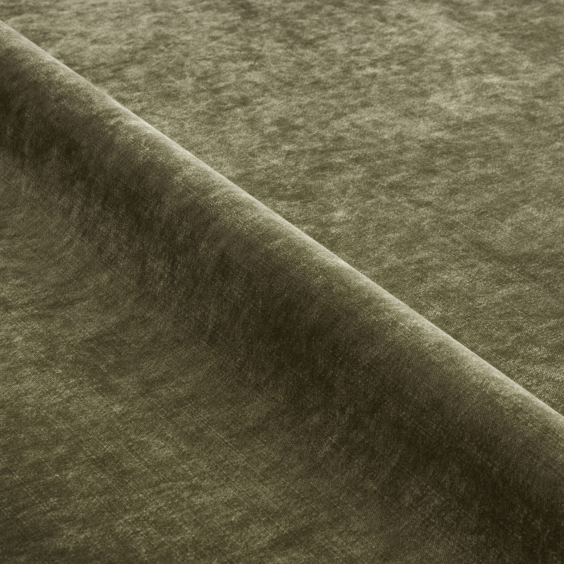 Fern Velvet fabric swatch