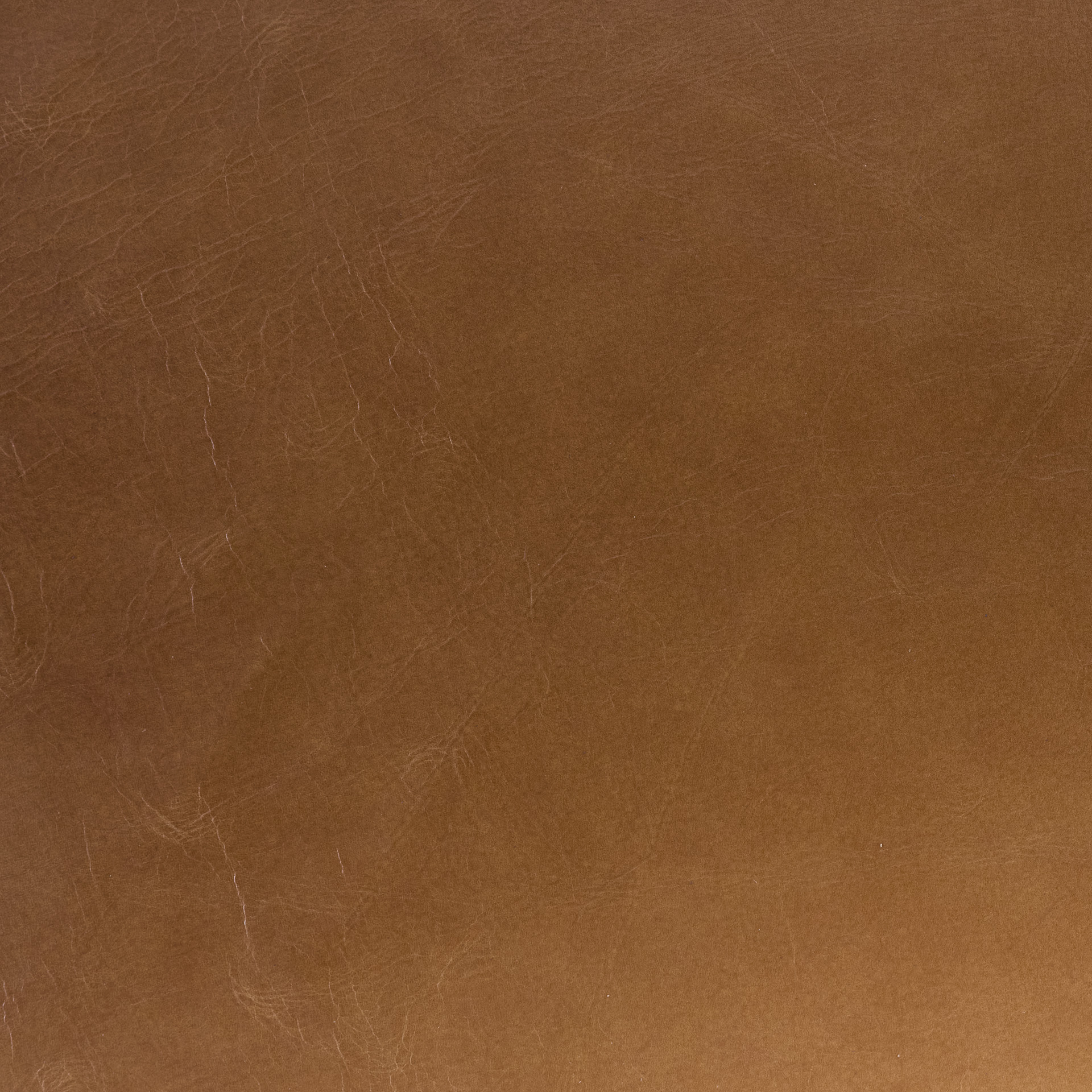 Camel Leather fabric swatch