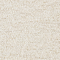 Oyster Shell