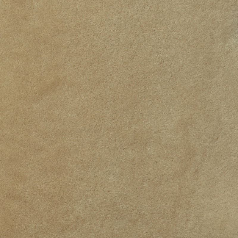 Warm Ecru Leather fabric swatch