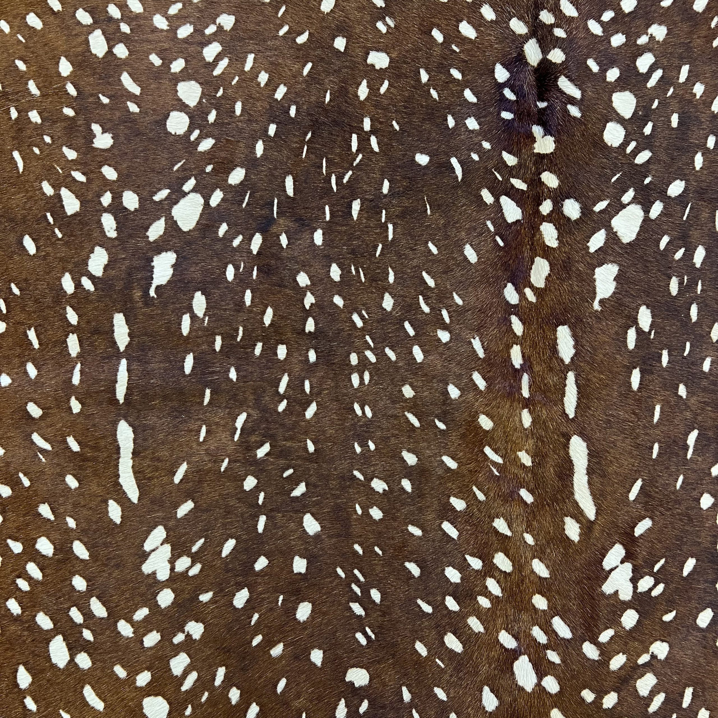 Warm Chestnut Print & Pattern fabric swatch