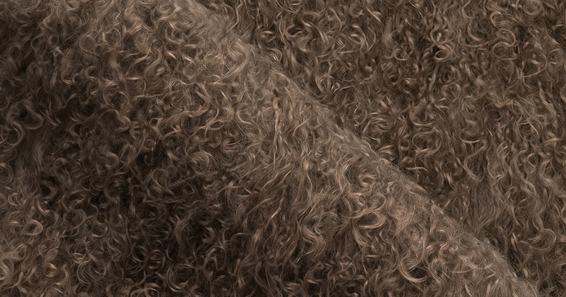 Acorn Brown Leather fabric swatch