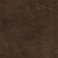 Saddle Brown