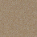 Sand Dune