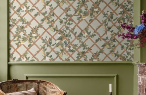 Explore Our Wallpaper Guide