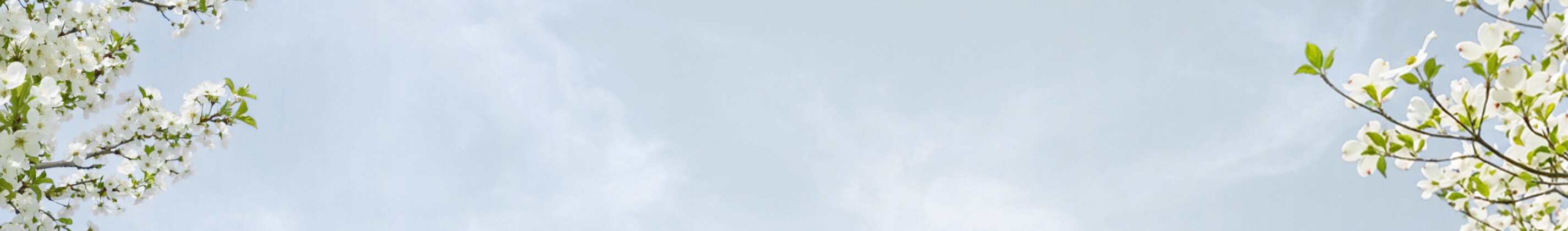 Spring Summer Quote Background